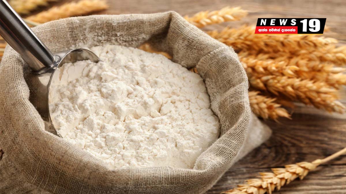 NEWS 19   Wheat Flour 54 